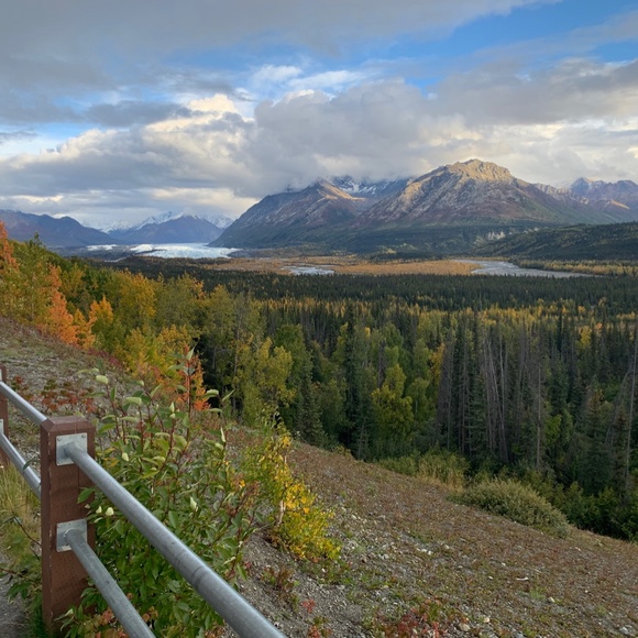 Meet your Posher, Tempest - Picture 6 of 6